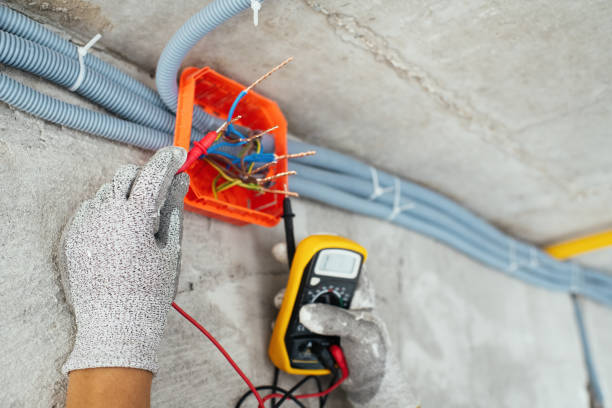 Best Electric Panel Repair  in Berkshire Lakes, FL